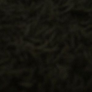 Meet your Posher, Janay